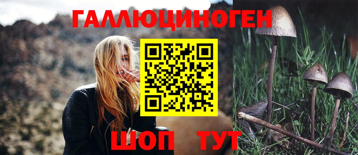 Елизово  Галлюциногенные грибы прущие грибы  Вход с VPN  Псилоцибиновые грибы Magic Shrooms 