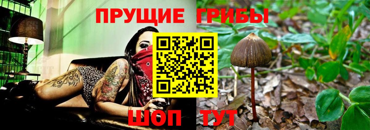 Галлюциногенные грибы Cubensis Елизово